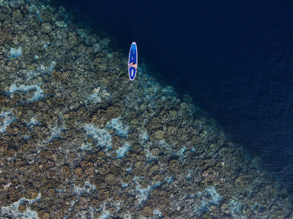 Top-down view of a paddleboarder above a broad coral reef
