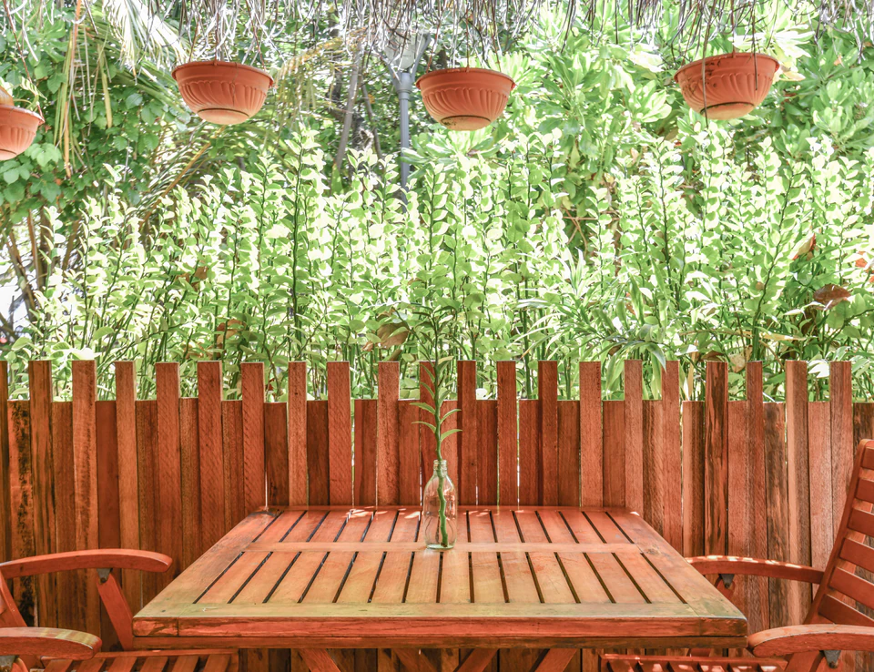 Wooden dining table beside lush hanging and tropical plants