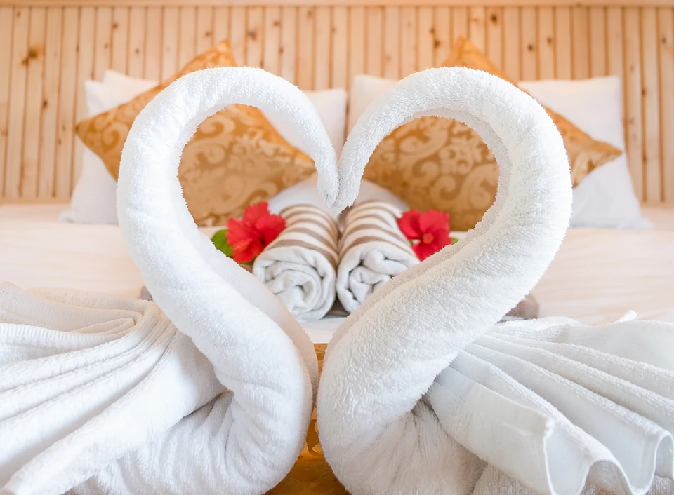Tight close-up of towel swans and flower petals