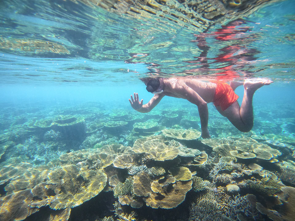 Closer underwater view of a snorkeler above coral